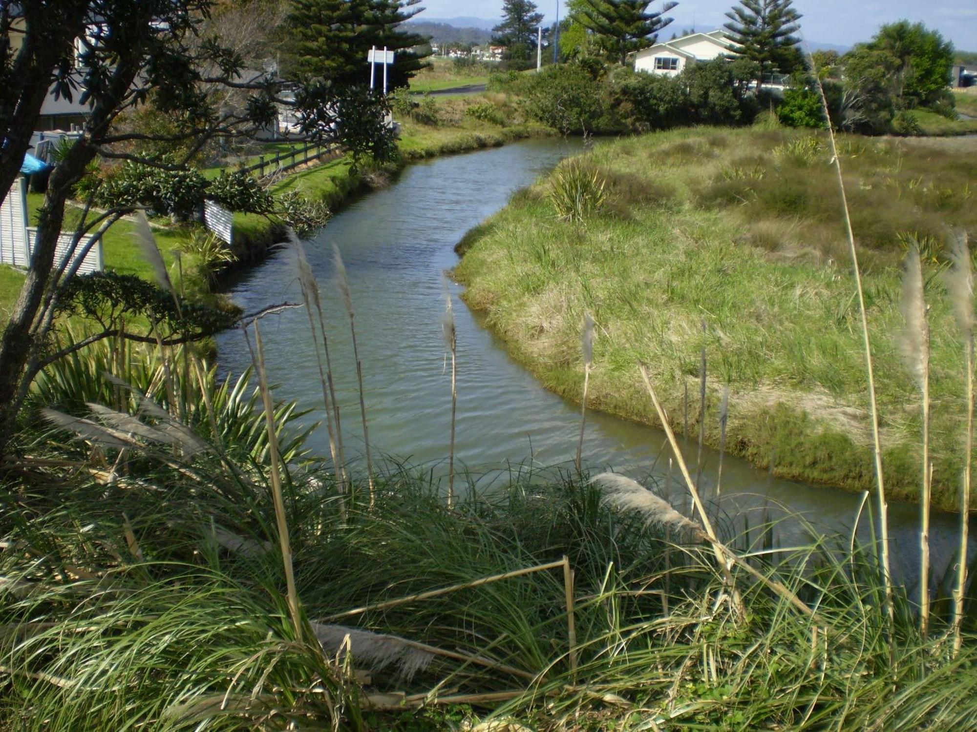 Whitianga Campground Extérieur photo