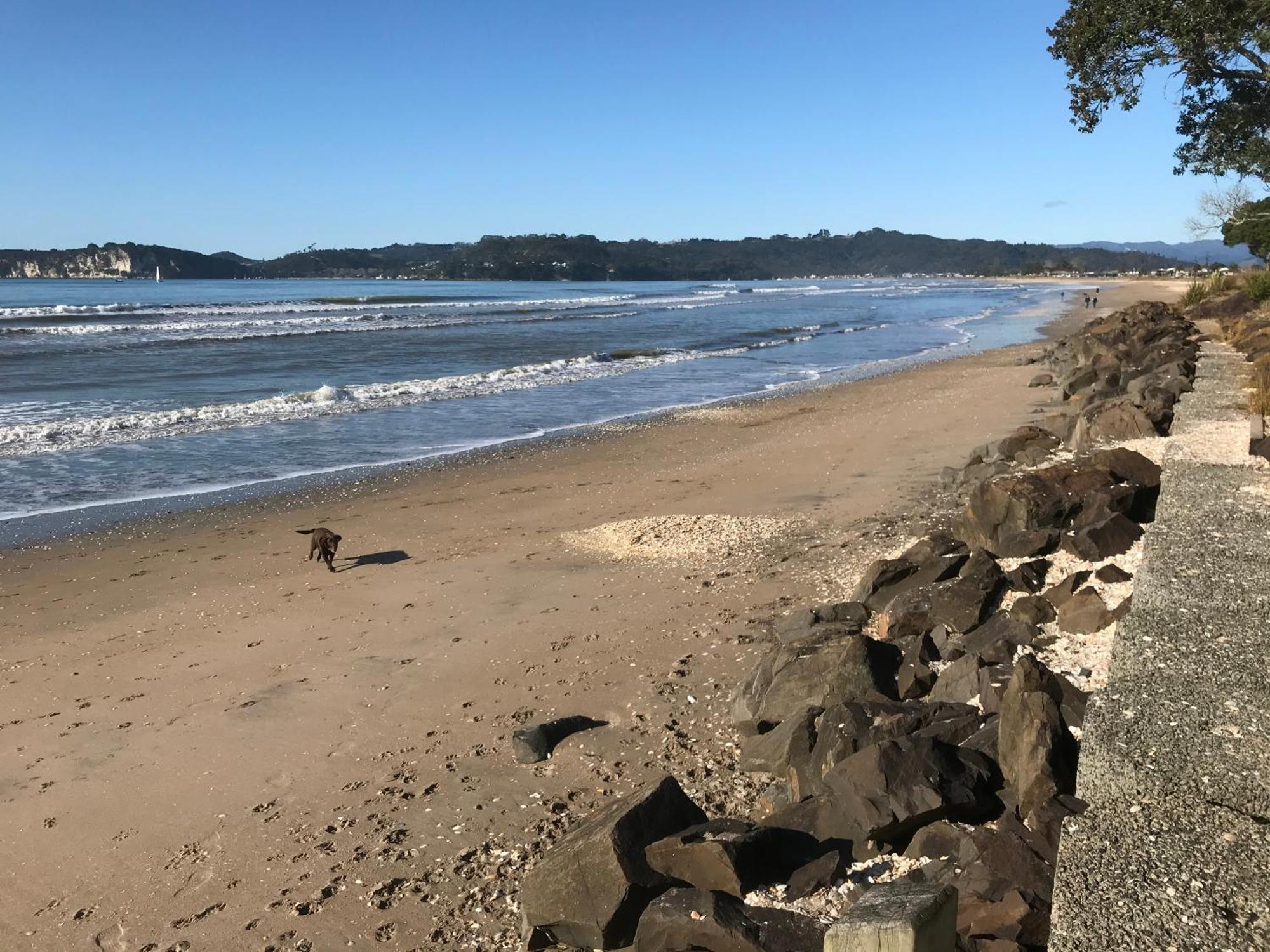 Whitianga Campground Extérieur photo